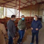 Stimulente pentru agricultori