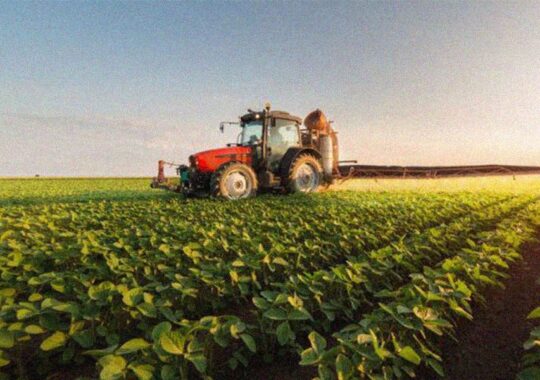 Serbia pe lista top 10 a ministerului agriculturii din Olanda