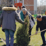 Au fost plantați 1.200 de copaci