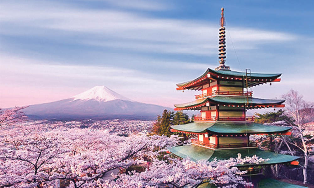 Sakura – sărbătoarea înfloririi cireșilor
