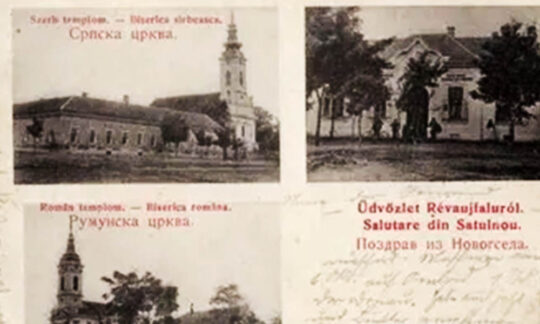 Identitate, asimilare şi despărţire bisericească în Banatul sârbesc, în a doua jumătate a secolului al XIX-lea şi la începutul secolului al XX-lea